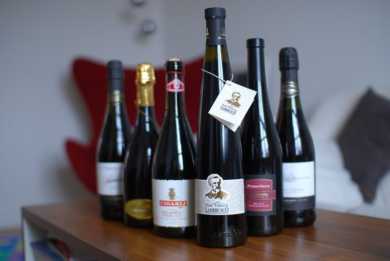 Where to Buy Lambrusco Wine: Best Sources for Perfect Bottle